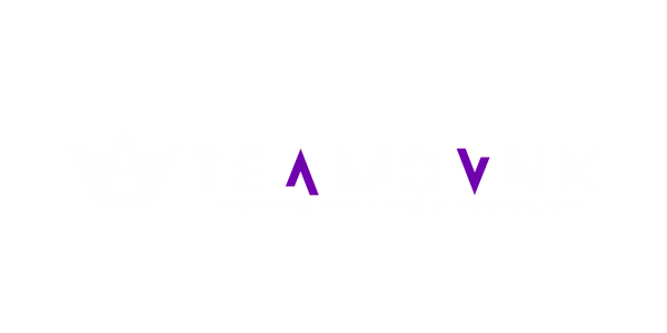  TEAM DVNK